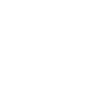 Shure_W