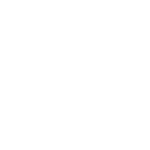 pioneer_w
